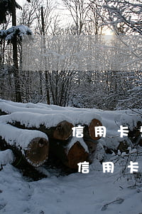 信用卡欠款2萬(wàn)逾期1年未還(欠信用卡二萬(wàn)三年未還)
