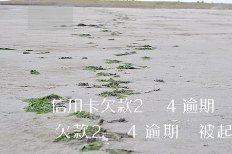 信用卡欠款2萬4逾期會被起訴嗎-信用卡欠款2萬4逾期會被起訴嗎知乎
