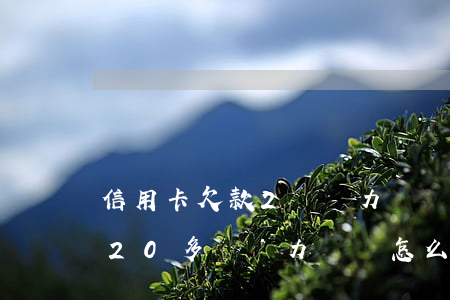 信用卡欠款2萬無力償還怎么辦(信用卡欠款20多萬無力償還怎么辦)
