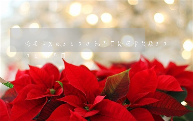 信用卡欠款3000元不還(信用卡欠款3000元不還)