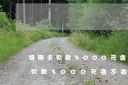 信用卡欠款3000元会不会起诉-信用卡欠款3000元会不会起诉对方