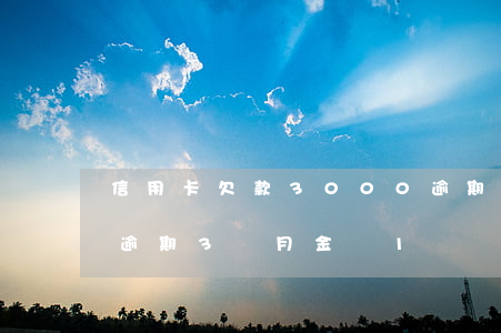 信用卡欠款3000逾期半年(欠銀行信用卡逾期3個月 金額1萬)