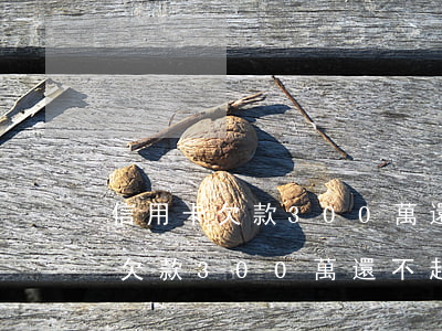 信用卡欠款300萬還不起怎么辦-信用卡欠款300萬還不起怎么辦呢