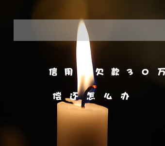 信用卡欠款30万不还(信用卡欠30万无力偿还怎么办)