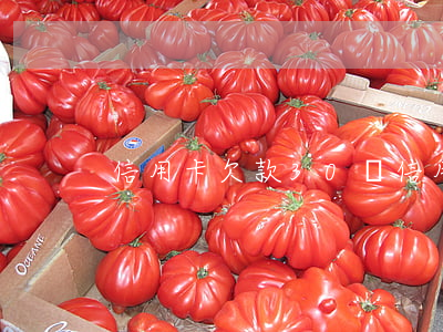 信用卡欠款30萬(信用卡欠款30萬自救)