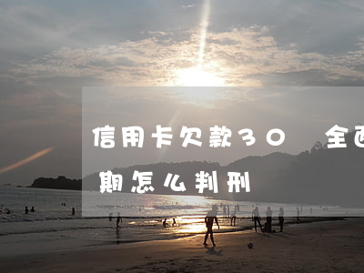 信用卡欠款30萬全面逾期(30萬信用卡逾期怎么判刑)
