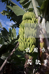 信用卡欠款30萬無力償還怎么辦-信用卡欠款30萬無力償還怎么辦呢