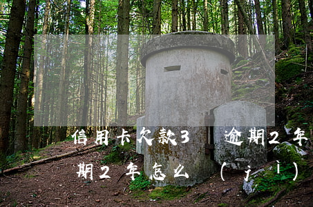 信用卡欠款3萬逾期2年(信用卡欠款3萬逾期2年怎么計(jì)算)