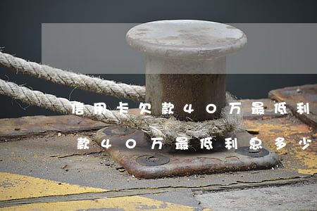 信用卡欠款40万最低利息多少-信用卡欠款40万最低利息多少钱