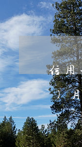 信用卡欠款4萬(wàn)逾期9個(gè)月后果-信用卡欠款4萬(wàn)逾期9個(gè)月后果怎么樣