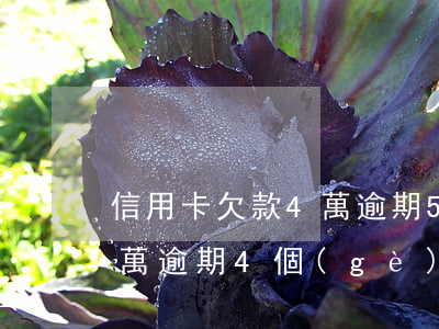 信用卡欠款4萬逾期5年(欠銀行信用卡欠4萬逾期4個(gè)月)