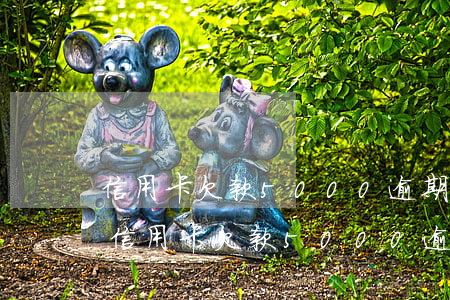 信用卡欠款5000逾期2個(gè)月-信用卡欠款5000逾期2個(gè)月會(huì)怎樣