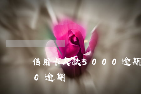 信用卡欠款5000逾期(信用卡欠款5000逾期)
