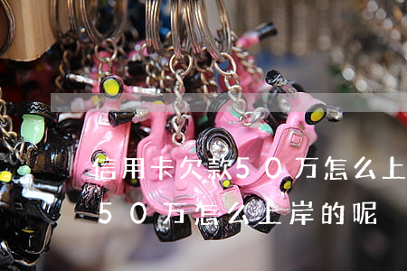 信用卡欠款50万怎么上岸的-信用卡欠款50万怎么上岸的呢