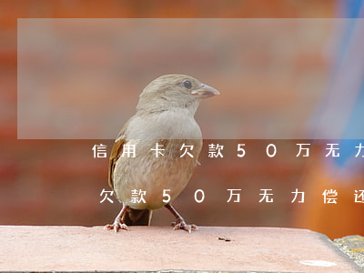 信用卡欠款50万无力偿还被判刑-信用卡欠款50万无力偿还被判刑多久