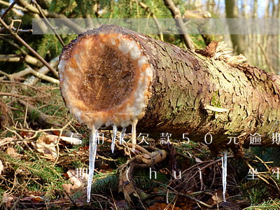 信用卡欠款50元逾期(信用卡欠款50元逾期會(huì)坐牢嗎)