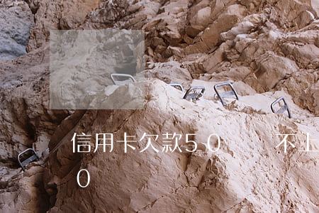 信用卡欠款50萬還不上(所有信用卡欠款50萬)