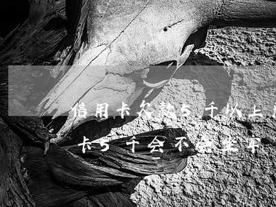 信用卡欠款5千以上严重逾期后果-欠信用卡5千会不会坐牢