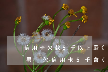 信用卡欠款5千以上嚴(yán)重逾期后果-欠信用卡5千會(huì)不會(huì)坐牢