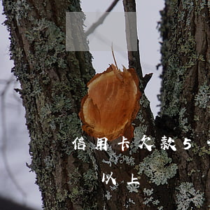信用卡欠款5千逾期利息(信用卡逾期欠款5萬以上)