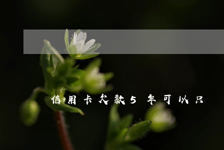 信用卡欠款5年可以只還本金嗎?