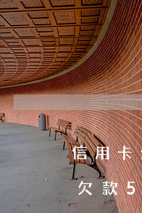 信用卡欠款5萬(wàn)以上逾期(信用卡欠款5萬(wàn)以上逾期可以走快速起訴流程嗎)