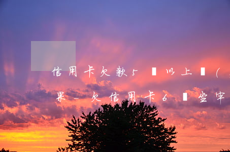 信用卡欠款5萬以上嚴(yán)重逾期后果-欠信用卡6萬坐牢親身經(jīng)歷