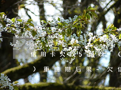 信用卡欠款5萬以內(nèi)嚴(yán)重逾期后果-欠信用卡5萬以上逾期不還款
