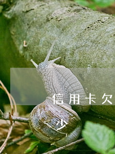 信用卡欠款5萬利息(信用卡欠5萬,利息是多少)