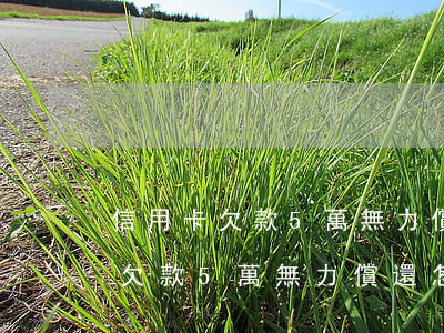 信用卡欠款5萬無力償還怎么處理-信用卡欠款5萬無力償還怎么處理呢