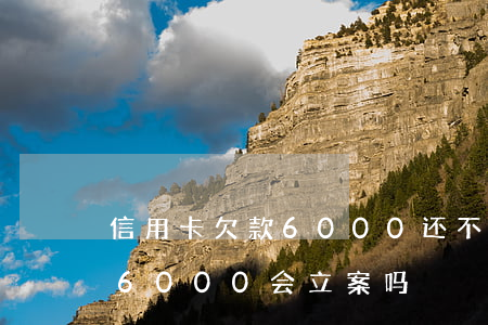 信用卡欠款6000还不起怎么办(欠信用卡6000会立案吗)