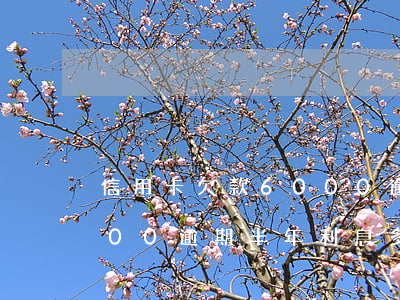信用卡欠款6000逾期2年半(信用卡6000逾期半年利息多少)