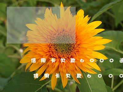信用卡欠款6000逾期7個(gè)月-信用卡欠款6000逾期7個(gè)月會(huì)怎樣