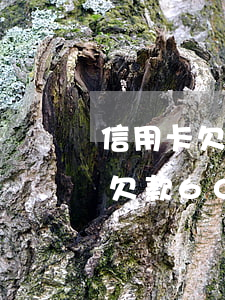 信用卡欠款6000逾期一年征信-信用卡欠款6000逾期一年征信不良