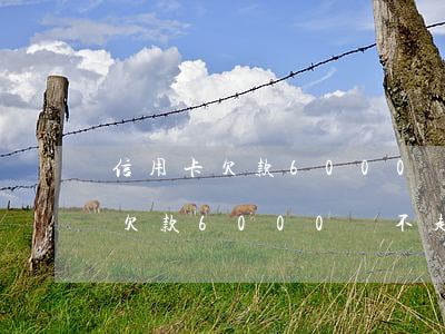信用卡欠款6000還不起怎么辦-信用卡欠款6000還不起怎么辦呢