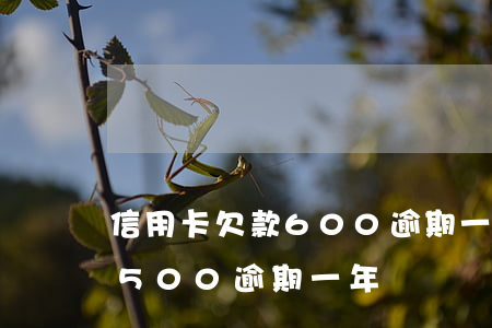 信用卡欠款600逾期一年以上(欠信用卡1500逾期一年)