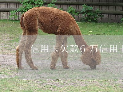 信用卡欠款6万(信用卡欠款6万逾期)