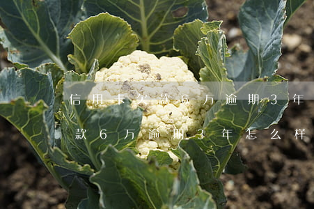 信用卡欠款6万逾期3年怎么样-信用卡欠款6万逾期3年怎么样了