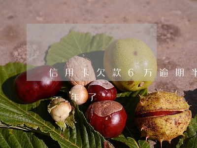 信用卡欠款6万逾期半年(欠信用卡6万逾期一年了)
