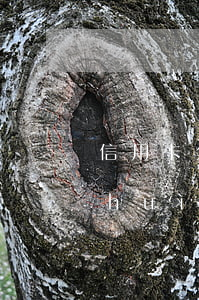 信用卡欠款6萬(wàn)多逾期多久會(huì)起訴(欠信用卡6千多被起訴)