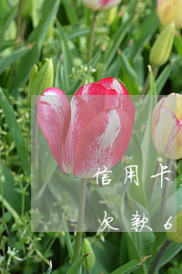 信用卡欠款6萬每個月都沒有逾期-信用卡欠款6萬每個月都沒有逾期怎么辦