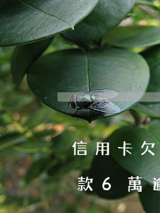 信用卡欠款6萬逾期3年怎么樣-信用卡欠款6萬逾期3年怎么樣了