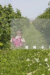 信用卡欠款6萬逾期90天(信用卡欠28000逾期半年)