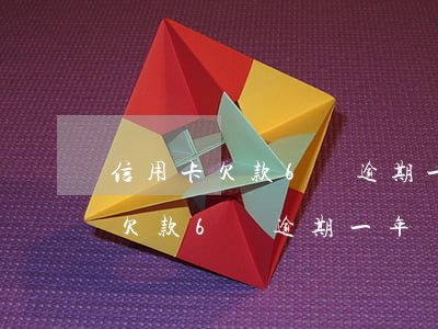 信用卡欠款6萬逾期一年該怎么辦-信用卡欠款6萬逾期一年該怎么辦呢