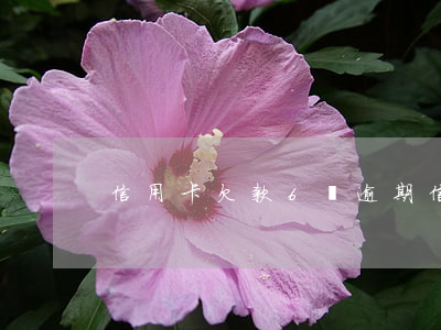 信用卡欠款6萬逾期(信用卡欠6萬逾期兩年)