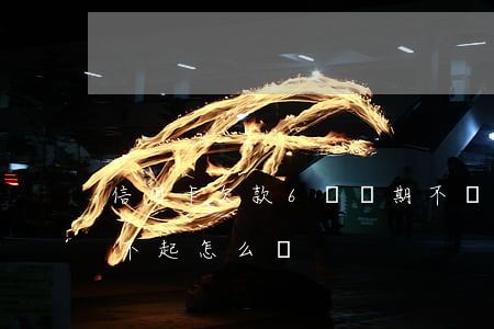 信用卡欠款6萬長期不還(信用卡欠六萬多還不起怎么辦)