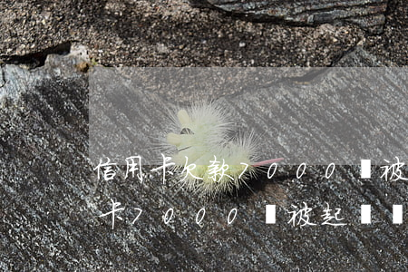 信用卡欠款7000會被起訴坐牢-欠信用卡7000會被起訴嗎