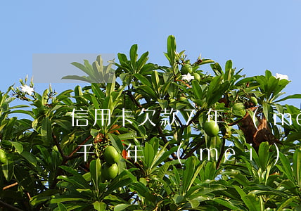 信用卡欠款7年沒(méi)還(欠信用卡七千兩年沒(méi)還怎么辦)