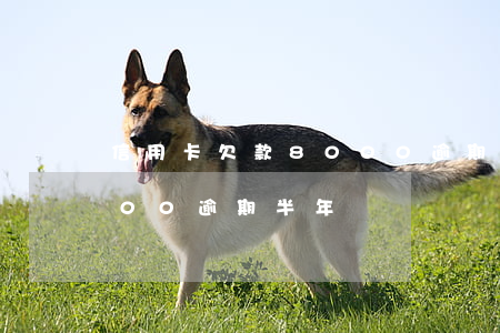 信用卡欠款8000逾期五年(欠信用卡9000逾期半年)