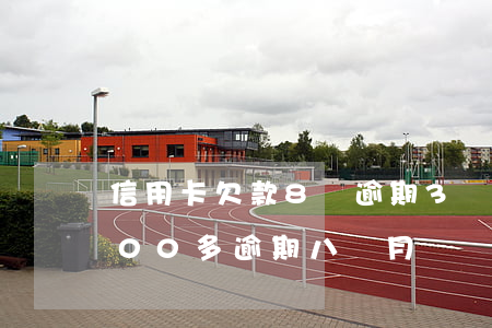 信用卡欠款8萬逾期3個月(信用卡欠款3000多逾期八個月該還多少)